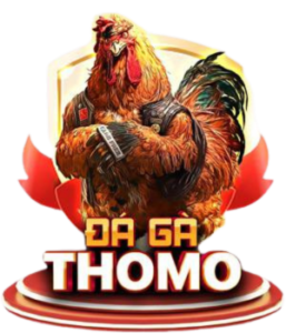Thiet ke chua co ten 69